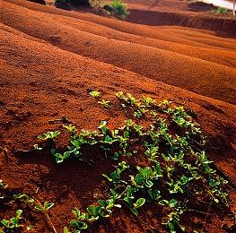 育碧公布手游《全境封锁：曙光》首部预告片分享
